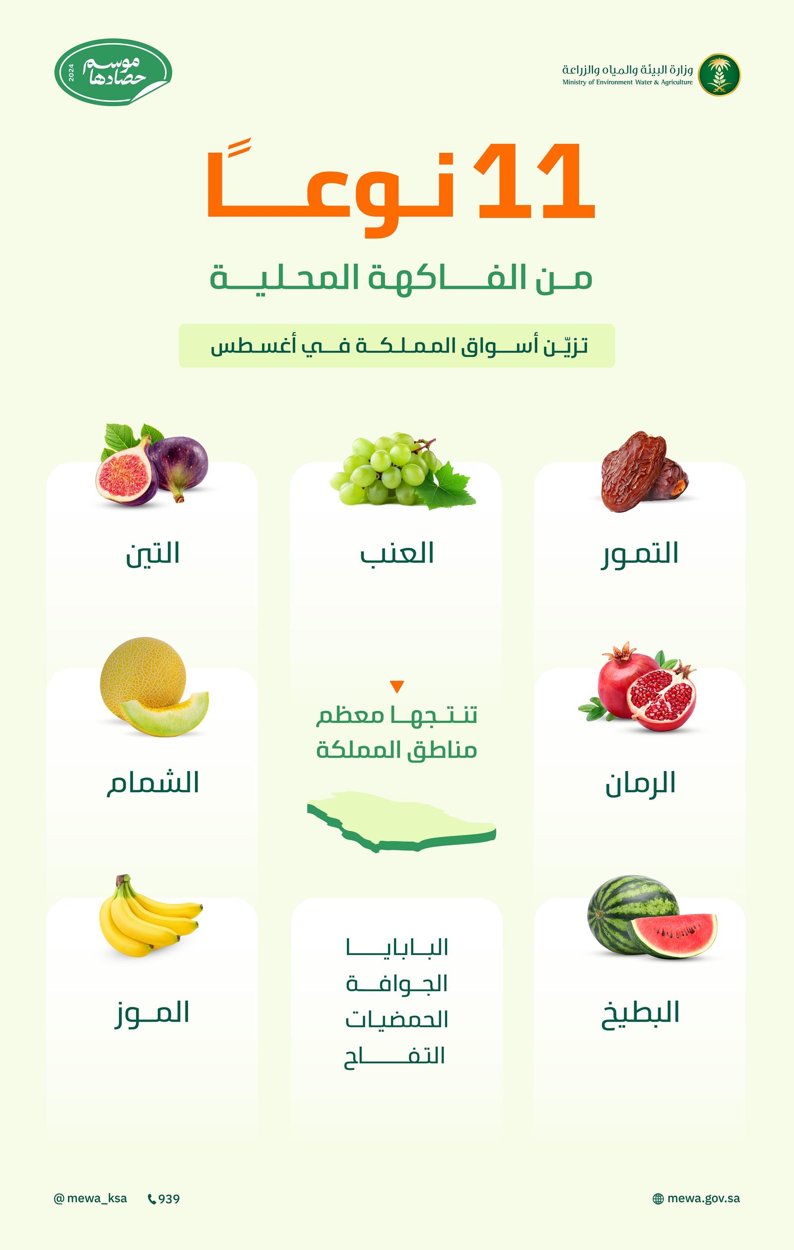 المملكة تستقبل (11) نوعًا من الفاكهة المحلية الطازجة خلال أغسطس الجاري